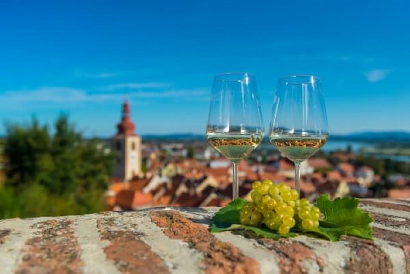 ptuj_Image-fotografije_vino-in-kulinarika_Mankica-Kranjec_2018_2-1